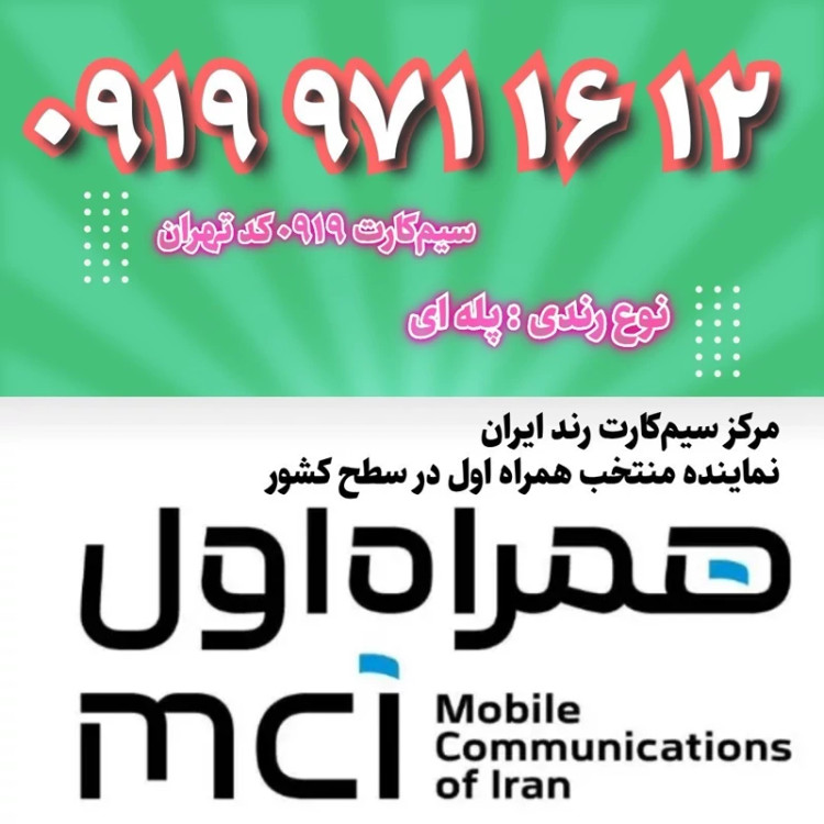 12 16 971 0919