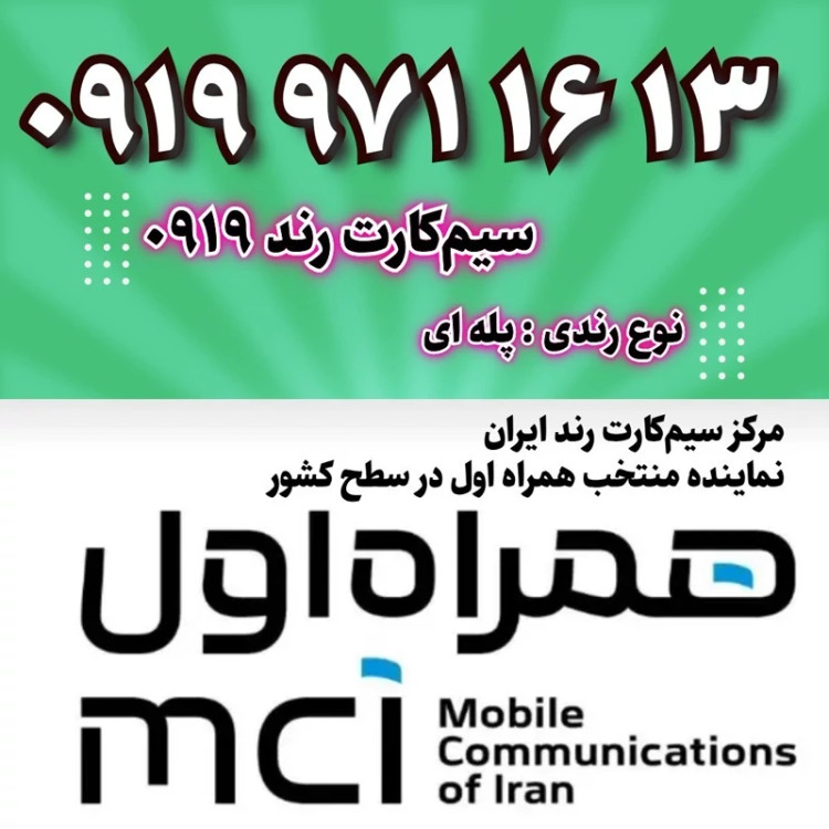 14 16 971 0919