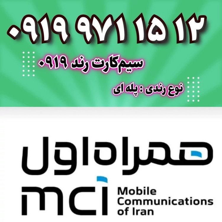 12 15 971 0919