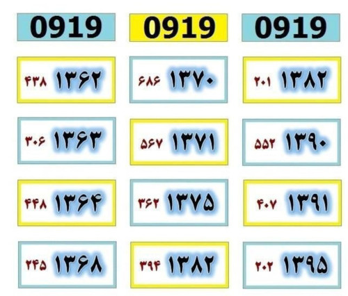 1383 306 0919