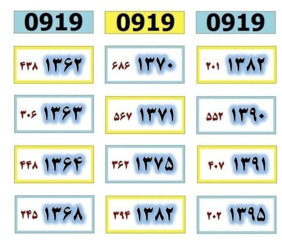 1391  407  0919